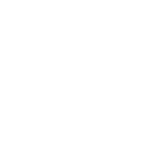 Palmeraie