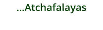 …Atchafalayas