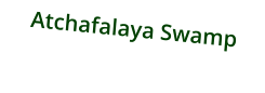 Atchafalaya Swamp